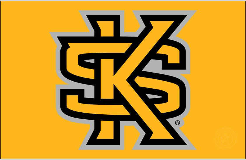 Madden NFL 25 Draft Class Prospects – Kennesaw State Owls